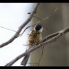 20120329_129